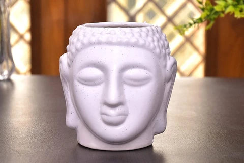 Jade Green Indoor Air Purifying Plant with Free Premium Quality Pot